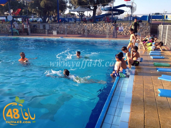 seba7a lud  dk (2).JPG